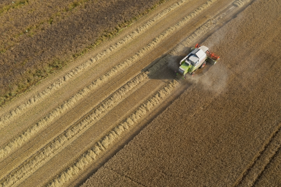 El comercio europeo rebaja su previsión de cosecha de cereales en 2023/24