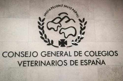 La Dirección General de Derechos de los Animales precisa cómo debe proceder el veterinario en casos de eutanasia