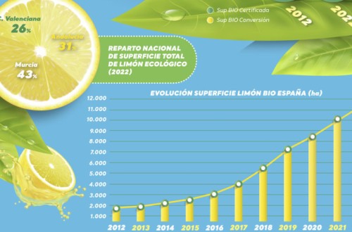La superficie de limón ecológico alcanza ya en España las 11.509 hectáreas y crece un 600% en 10 años