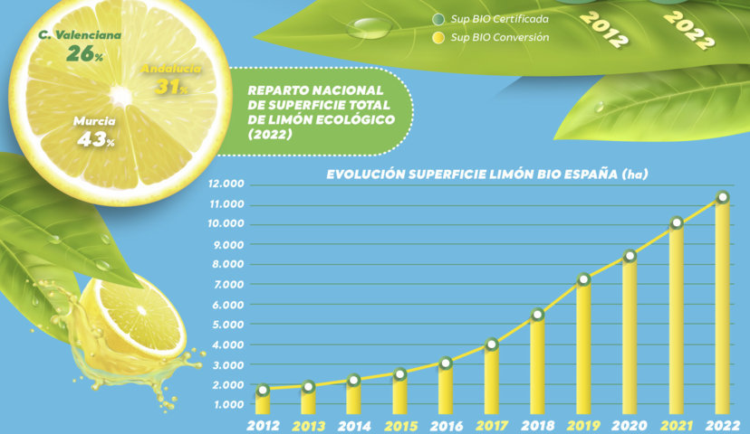 La superficie de limón ecológico alcanza ya en España las 11.509 hectáreas y crece un 600% en 10 años