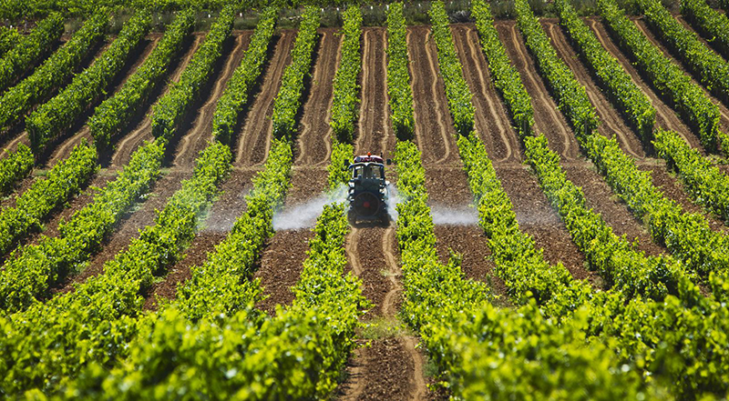 Abonado un nuevo pago por 2,5 M€ a 2.188 agricultores ante la carestía de los fertilizantes