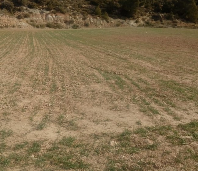 Castilla y León: cerca de 13.500 agricultores y ganaderos piden ayudas para 564 M€ de préstamos preferenciales por sequía