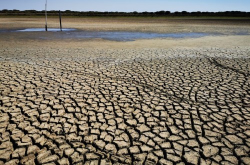 Cataluña flexibiliza la PAC 2024 para hacer frente a la situación de sequía