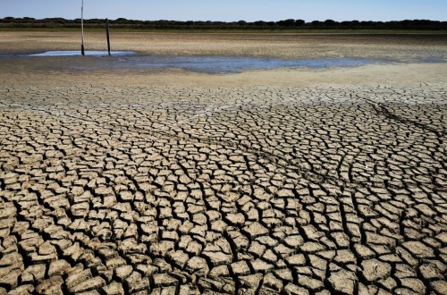 La Junta de Andalucía destina 55 millones en ayudas a agricultores afectados por temporales, lengua azul y sequía