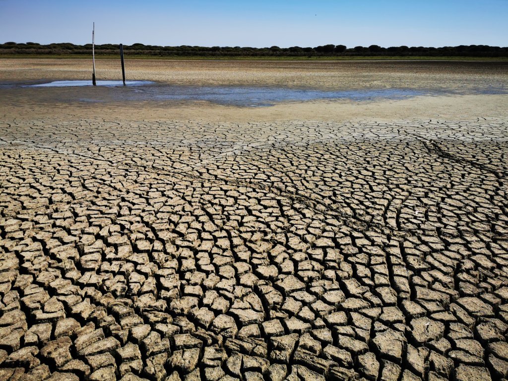 El verano de 2022 fue el más caluroso en España de los últimos 700 años