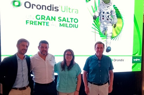 Orondis Ultra, el nuevo fungicida de Syngenta para el control del mildiu en viña y cultivos hortícolas