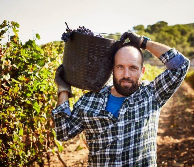 Ligera subida del empleo agrario en septiembre por el inicio de las campañas agrícolas de otoño