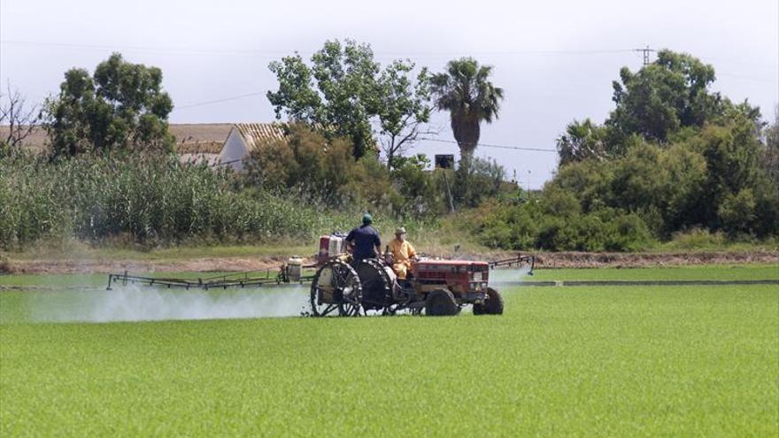 Varias organizaciones agrarias europeas piden por carta a la CE renovar la autorización de uso del glifosato por otros 15 años más