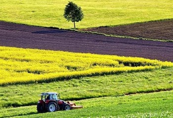 La campaña PAC 2025 registra 582.085 solicitudes con 22 millones de hectáreas declaradas