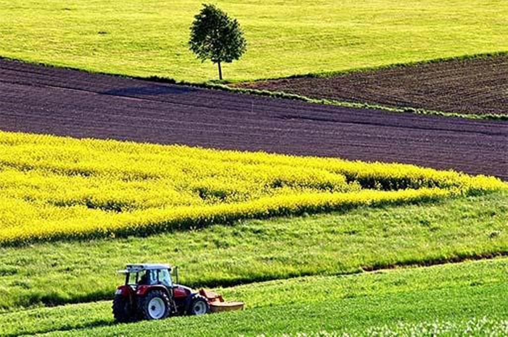 Los agricultores españoles reciben 2.003 millones de la PAC hasta el 30 de noviembre