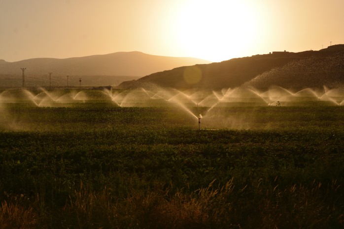 ¿Cuáles son y cómo se gestionan las ayudas a proyectos de digitalización de las Comunidades de Usuarios de agua para regadío?