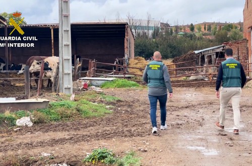 Unas 22 personas físicas y 8 jurídicas investigadas por ahora por supuesto fraude en el cobro de ayudas PAC a pastos