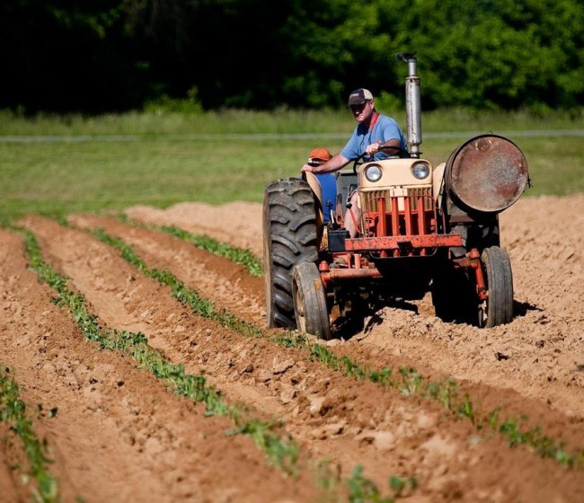 El paro registrado en Agricultura subió un 2,13 % en octubre, hasta los 101.965 desempleados