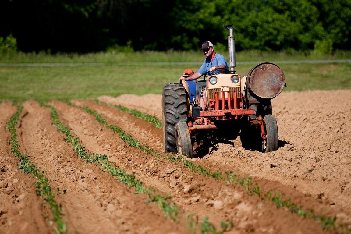 El paro registrado en Agricultura subió un 2,13 % en octubre, hasta los 101.965 desempleados