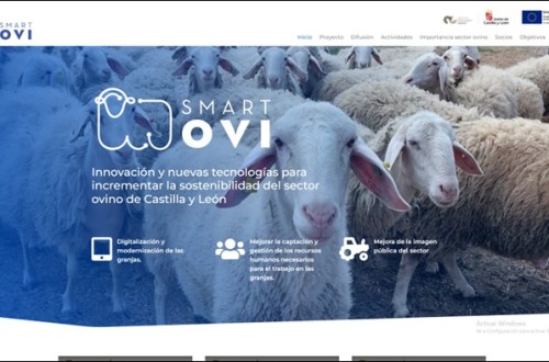 SmartOvi-FEADER: un proyecto por y para las cooperativas de ovino lechero de Castilla y León