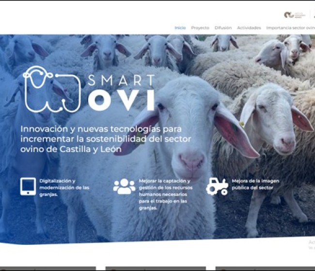 SmartOvi-FEADER: un proyecto por y para las cooperativas de ovino lechero de Castilla y León