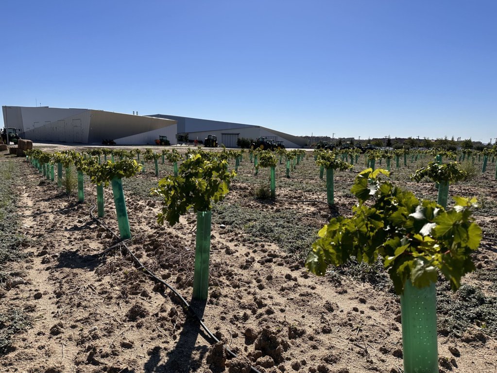 John Deere Innovation Center cumple su primer año con nueve proyectos para cultivos de alto valor añadido en marcha