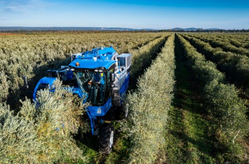 New Holland: liderazgo global en recolección