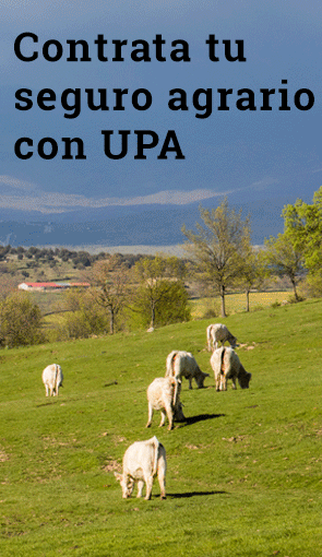 Asegura tu explotación L2 292*510 27/11-24/12