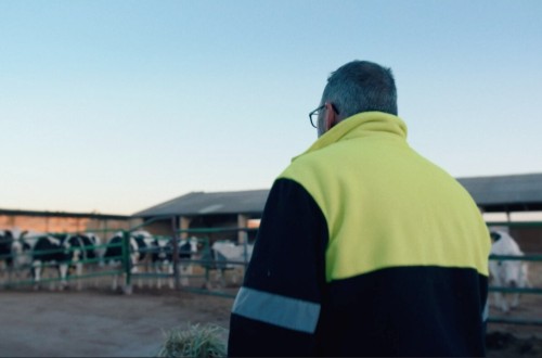 Pascual e Iberdrola se unen para reducir emisiones de metano en las granjas