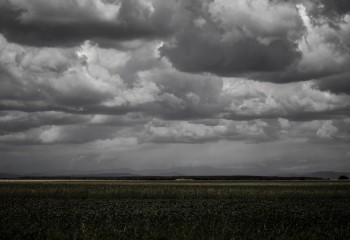 Agroseguro supera por primera vez el millón de hectáreas declaradas con siniestro a causa de los fenómenos tormentosos