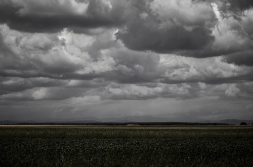 Se abre un profundo debate sobre el seguro agrario y pecuario. Por José Antonio Turrado