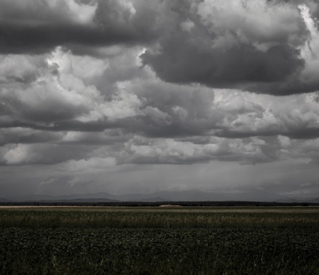 Se abre un profundo debate sobre el seguro agrario y pecuario. Por José Antonio Turrado