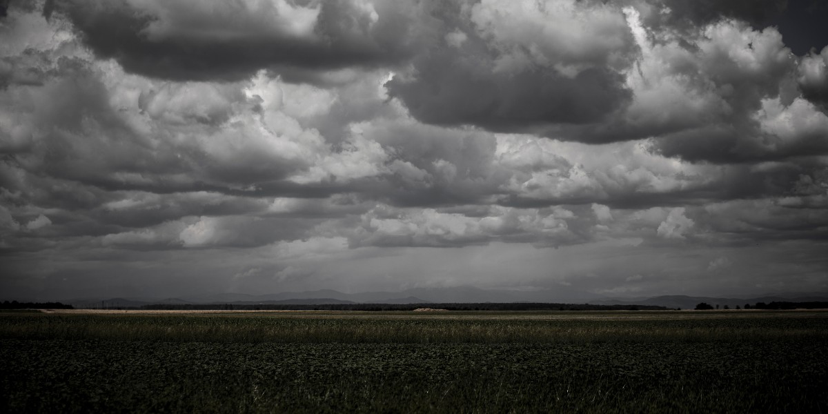 Se abre un profundo debate sobre el seguro agrario y pecuario. Por José Antonio Turrado