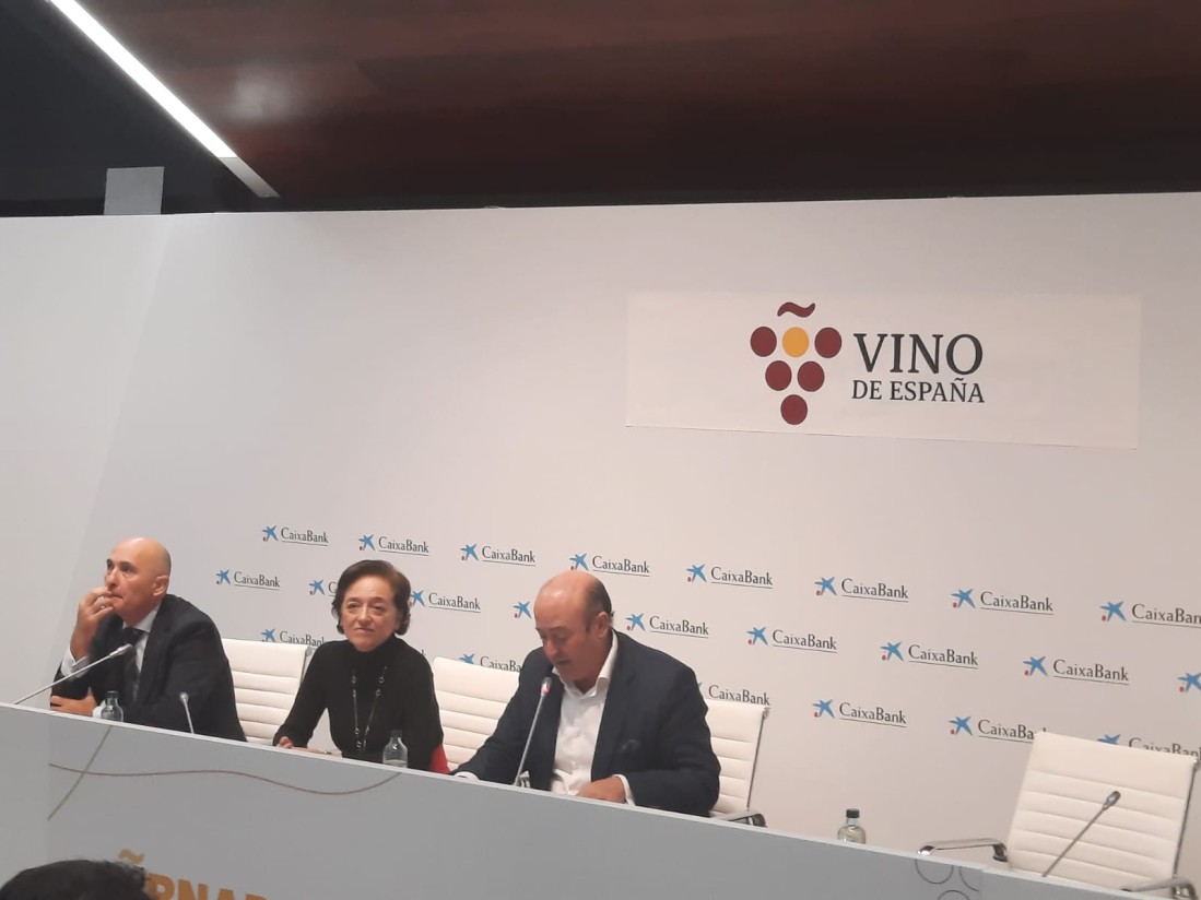 OIVE presenta un estudio que justifica que el sector vitivinícola es determinante frente a la despoblación rural