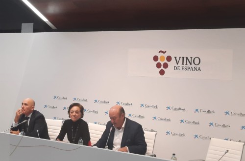 OIVE presenta un estudio que justifica que el sector vitivinícola es determinante frente a la despoblación rural