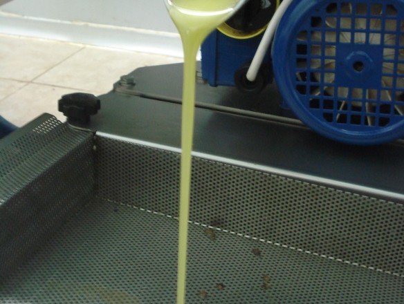 La CE calcula una producción mundial de aceite de oliva un 3% superior y de casi 2,6 Mt en 2023/24