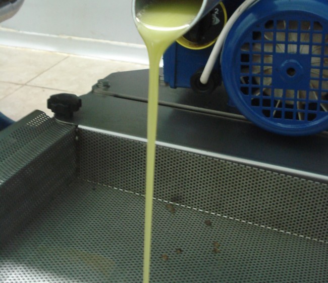 La CE calcula una producción mundial de aceite de oliva un 3% superior y de casi 2,6 Mt en 2023/24