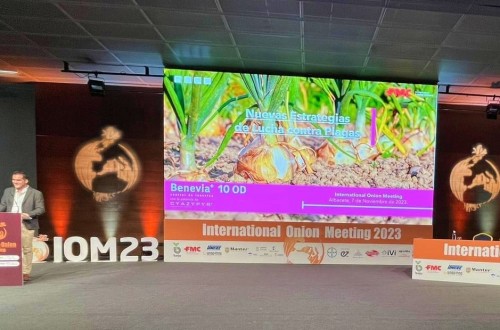 Benevia, la nueva solución de FMC para el control de las principales plagas del cultivo de la cebolla