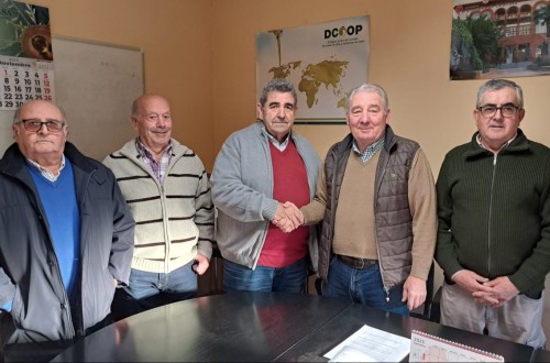 Cooperativas del Grupo Dcoop promueven también ahorrar costes con la molturación común de aceituna para aceite de oliva