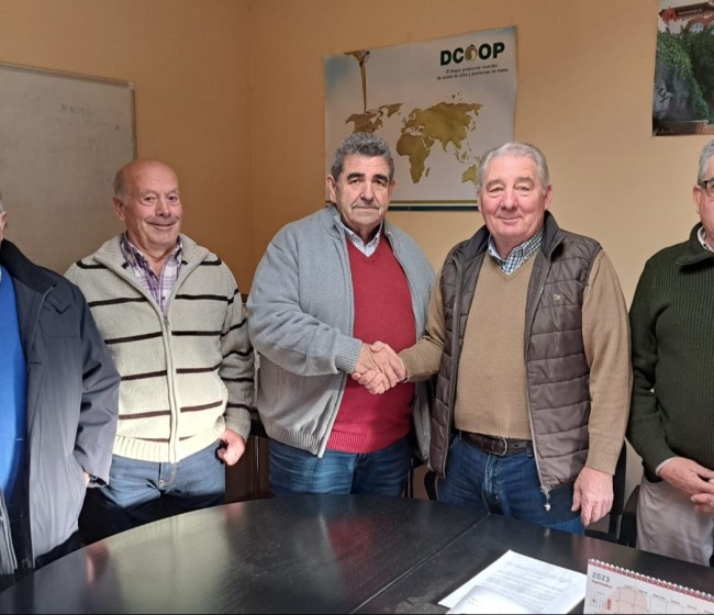 Cooperativas del Grupo Dcoop promueven también ahorrar costes con la molturación común de aceituna para aceite de oliva