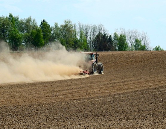 El MAPA analizará el contenido en carbono de 16.000 parcelas agrícolas para determinar su capacidad de absorción