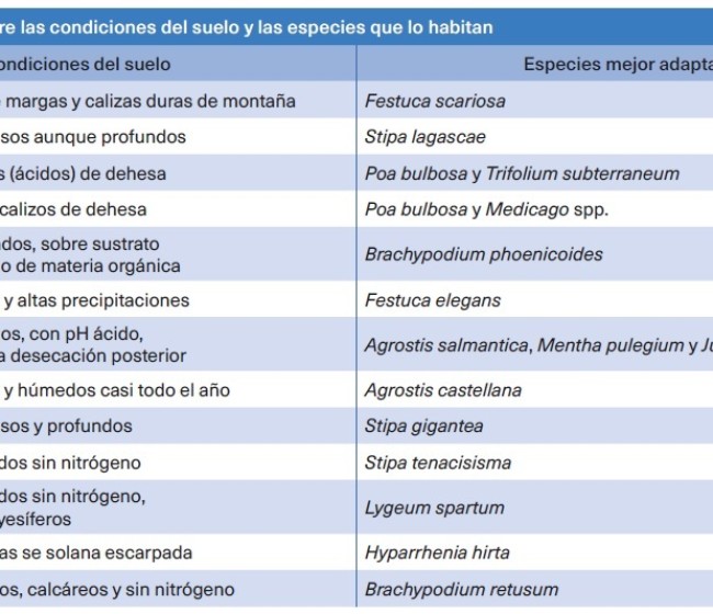 ¿De qué nos hablan los pastos?