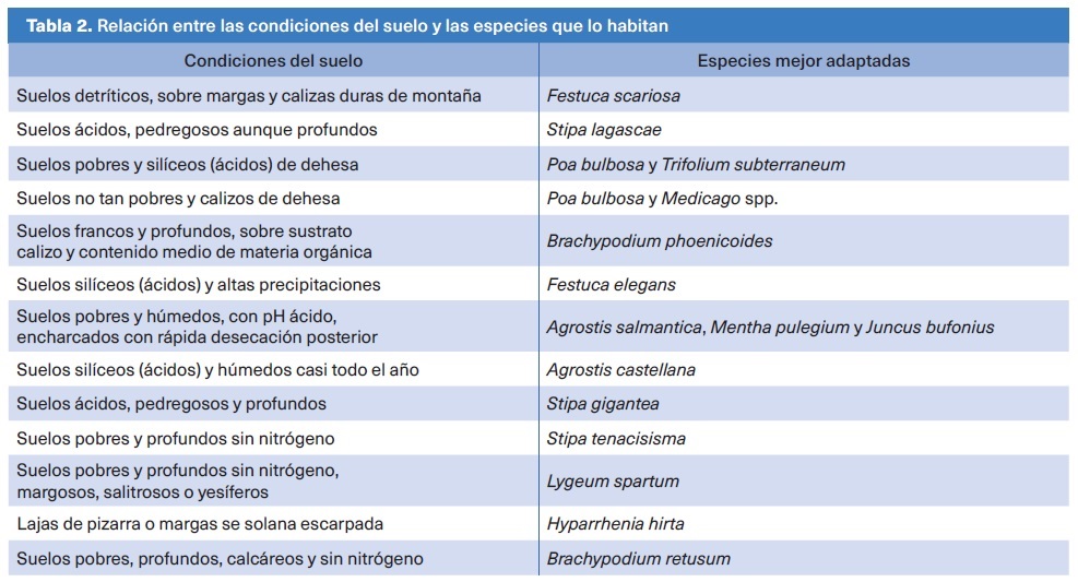 ¿De qué nos hablan los pastos?