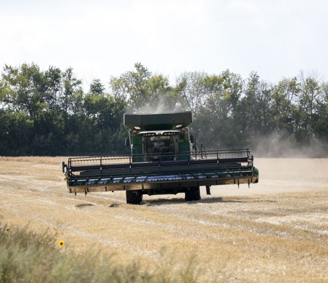 Las OPAs de Castilla y León denuncian la situación límite del sector productor de cereales