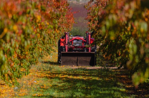 Unos 64.660 fruticultores percibirán en breve 70,3 M€ de ayudas extraordinarias por la sequía y la guerra en Ucrania