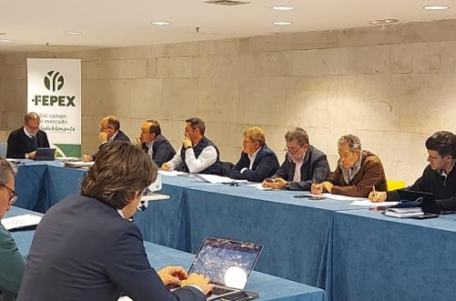 Mantener la competitividad frente a un marco legal complejo, principal reto del sector hortofrutícola español