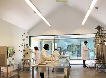 Reducción de antibióticos en ganadería a través de una alimentación basada en el uso de hongos y algas