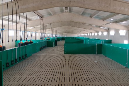 ICPOR recibe la calificación de ‘excelente’ en bienestar animal