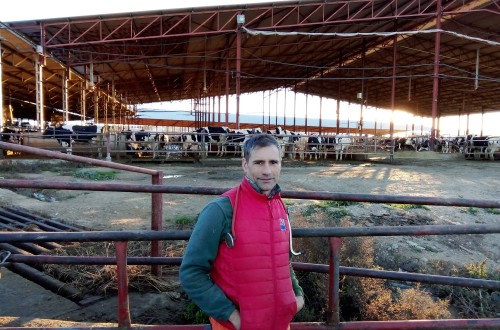 Boehringer Ingelheim falla los Premios BVDZero España