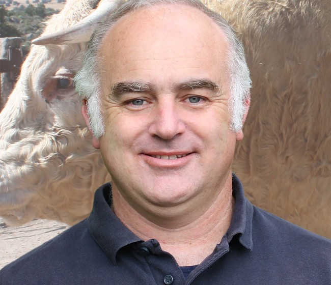 El veterinario de explotación