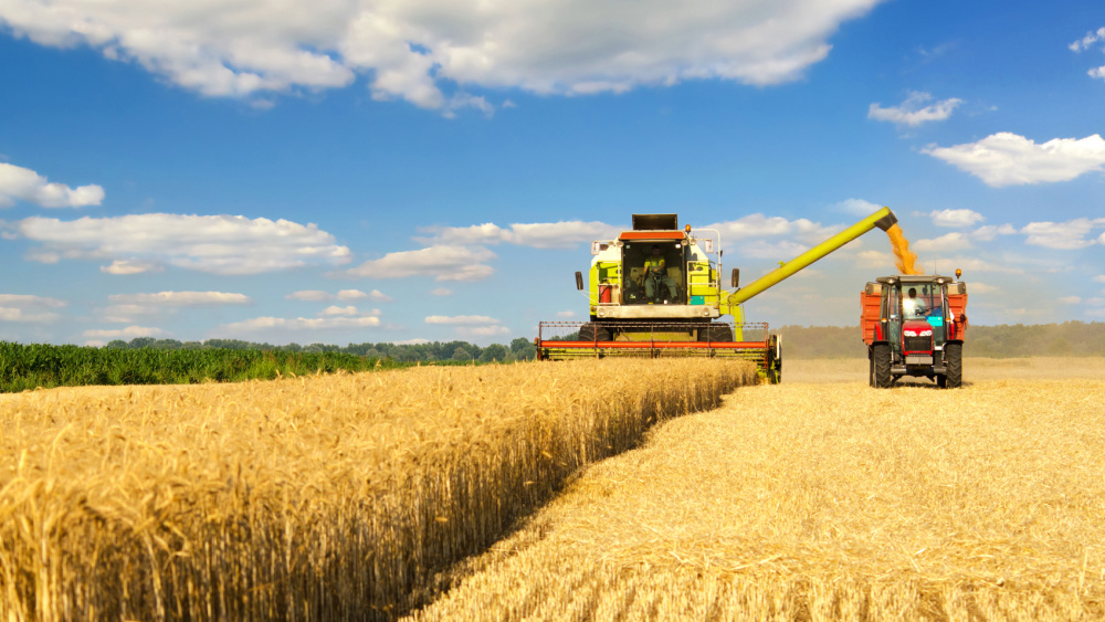 Eurostat: la renta agraria real de la UE por trabajador descenderá un 6,6% en 2023