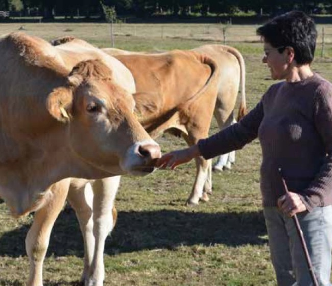 Nutrición y características diferenciales de la Ternera Gallega Suprema