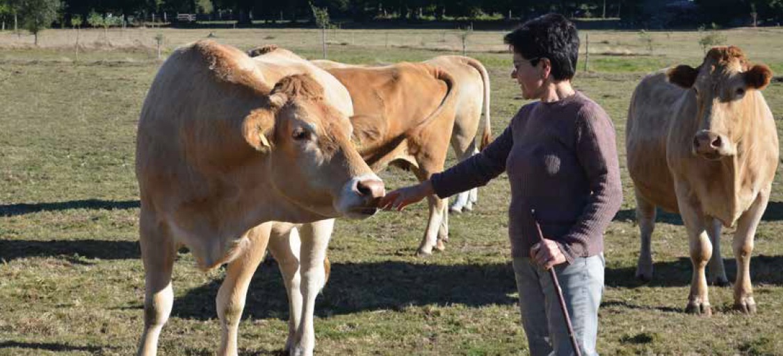 Nutrición y características diferenciales de la Ternera Gallega Suprema