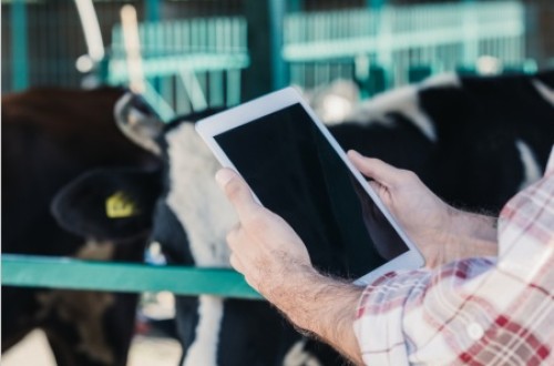 Afeedme, la plataforma de la nutrición animal