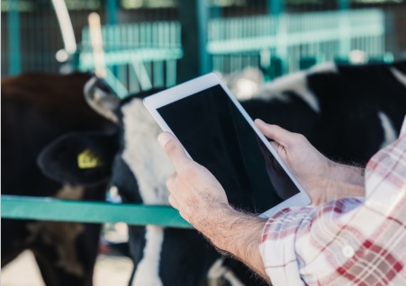 Afeedme, la plataforma de la nutrición animal